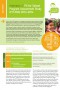 Click to Download 'Fit for School Program Assessment Study Short Report Indonesia' Click to Download 'Fit for School Program Assessment Study Short Report Indonesia'